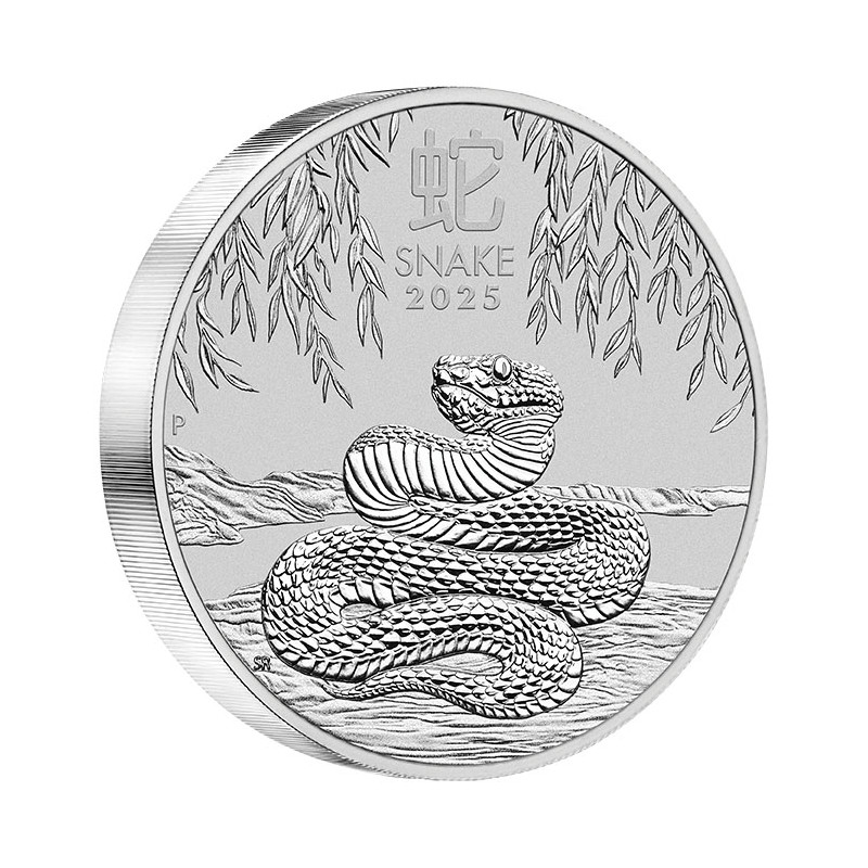 Strieborná minca 10 Kg Lunar Series III Year of the Snake 2025