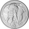 Platinová minca 1 Oz Big Five Elephant 2022