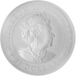 Strieborná minca 1 Kg Koala 2021