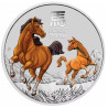 Strieborná minca 1/2 Oz Lunar Series III Year of the Horse 2026 Kolorované