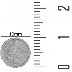 Platinová minca 1 g China Panda 2022