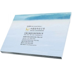 Platinová minca 1 g China Panda 2022