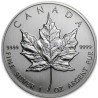 Strieborná minca Maple Leaf 1992