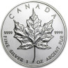 Strieborná minca Maple Leaf 1994