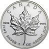 Strieborná minca Maple Leaf 1995