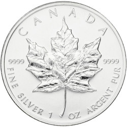 Strieborná minca Maple Leaf 1999