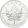 Strieborná minca Maple Leaf 1999