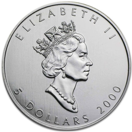 Strieborná minca Maple Leaf 2000