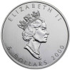 Strieborná minca Maple Leaf 2000
