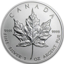 Strieborná minca Maple Leaf 2001