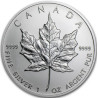 Strieborná minca Maple Leaf 2001