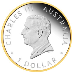 Strieborná minca 1 Oz 40. Anniversary of the Australian Nugget 2026 Proof + Pozlátené