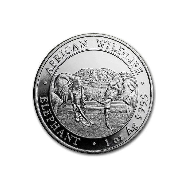 Strieborná minca 1 Oz African Wildlife Elephant 2020