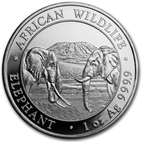 Strieborná minca 1 Oz African Wildlife Elephant 2020