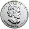 Strieborná minca Maple Leaf 2006