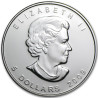 Strieborná minca Maple Leaf  2009