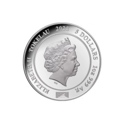 Strieborná minca 1 Oz Diana - Princezná z Walesu Kolorované