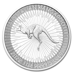 Box 250 x strieborná minca 1 Oz Kangaroo