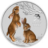 Strieborná minca 1/4 Oz Lunar Series III Rok of Rabbit 2023 Kolorované