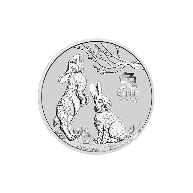 Strieborná minca 2 Oz Lunar Series III Year of the Rabbit 2023