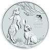 Strieborná minca 1 Oz Lunar Series III Year of the Rabbit 2023