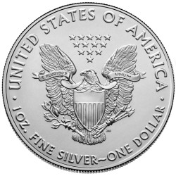 Strieborná minca 1 Oz American Eagle 2021 typ 1