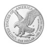Strieborná minca 1 Oz American Eagle 2022