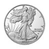 Strieborná minca 1 Oz American Eagle 2022