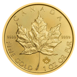 Zlatá minca 1 Oz Maple Leaf...