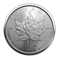 Strieborná minca 1 Oz Maple Leaf 2020