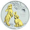 Strieborná minca 1 Oz Lunar Series III Year of the Rabbit 2023 Pozlátené