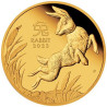 Zlatá minca 1/10 Oz Lunar Series III Rok Rabbit 2023 Proof