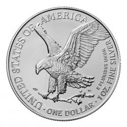 Tuba 20 x strieborná minca 1 Oz American Eagle