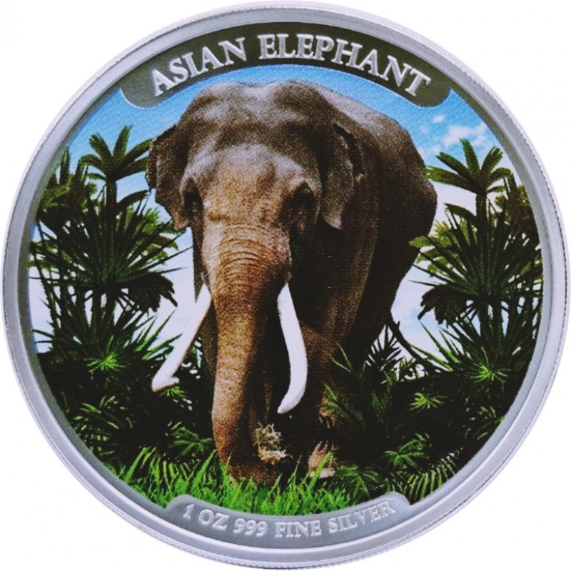 Strieborná minca 1 Oz Big Five Asian Elephant 2023 Kolorované