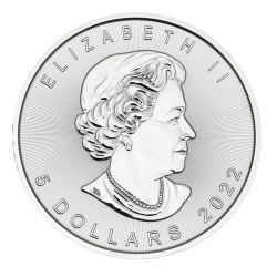 Strieborná minca 1 Oz Maple Leaf rôzne roky