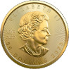 Zlatá minca 1 Oz Maple Leaf 2023
