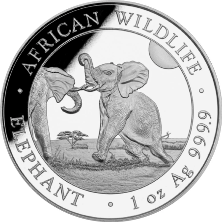 Strieborná minca 1 Oz African Wildlife Elephant 2024