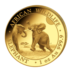 Zlatá minca 1 Oz African...
