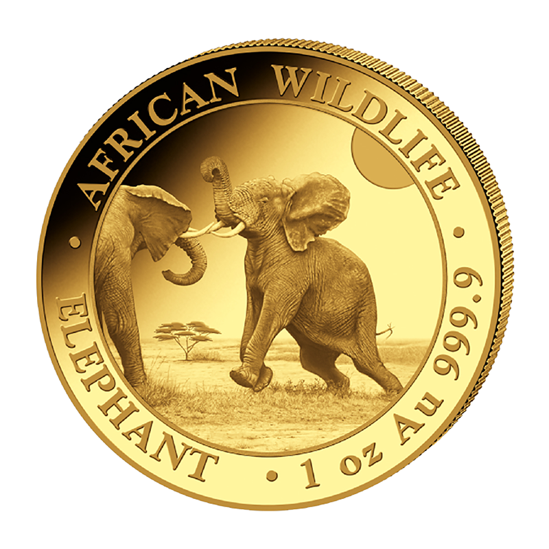 Zlatá minca 1 Oz African Wildlife Elephant 2024