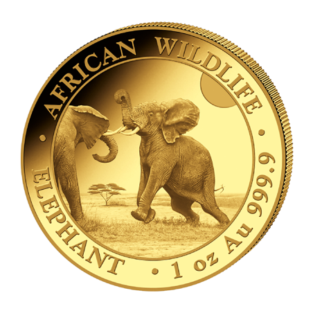 Zlatá minca 1 Oz African Wildlife Elephant 2024