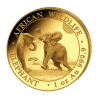 Zlatá minca 1 Oz African Wildlife Elephant 2024