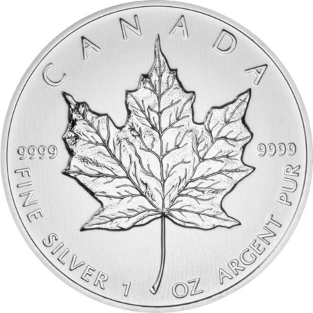 Strieborná minca 1 Oz Maple Leaf 2012