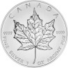 Strieborná minca 1 Oz Maple Leaf 2012