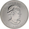 Strieborná minca 1 Oz Maple Leaf 2011