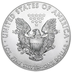 Strieborná minca 1 Oz American Eagle 1989