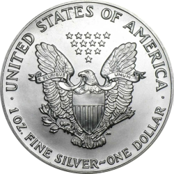 Strieborná minca 1 Oz American Eagle 1991