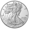 Strieborná minca 1 Oz American Eagle 2019