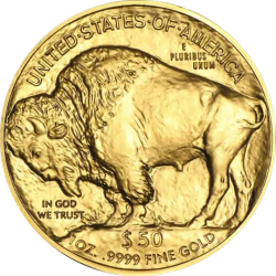 Zlatá minca 1 Oz American Buffalo 2024