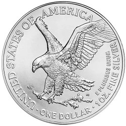 Strieborná minca 1 Oz American Eagle 2024