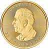 Zlatá minca 1 Oz Maple Leaf 2024